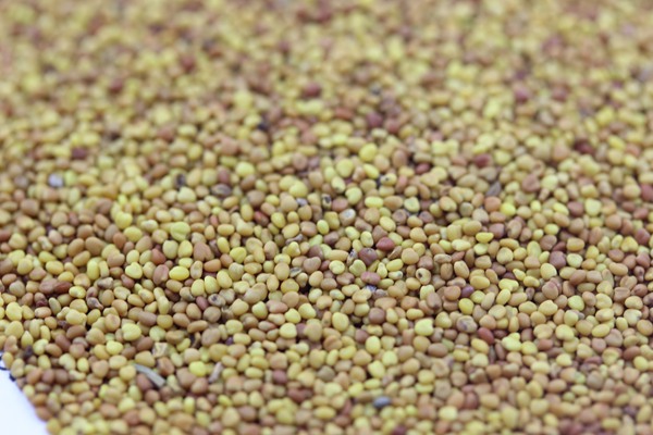 1563811862717307.jpg 白三葉 (8).JPG