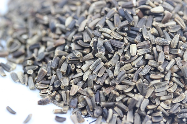 將軍菊苣種子價(jià)格多少錢一斤 將軍菊苣種子價(jià)格多少錢一斤