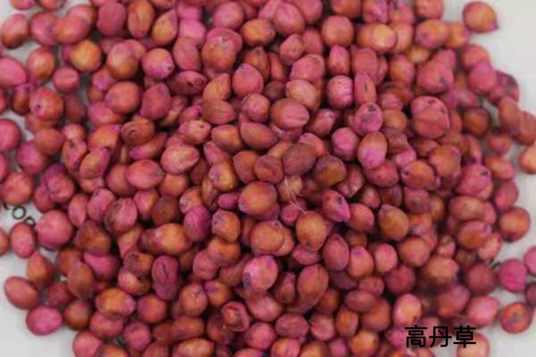 1564497730967853.jpg 1564497730967853.jpg