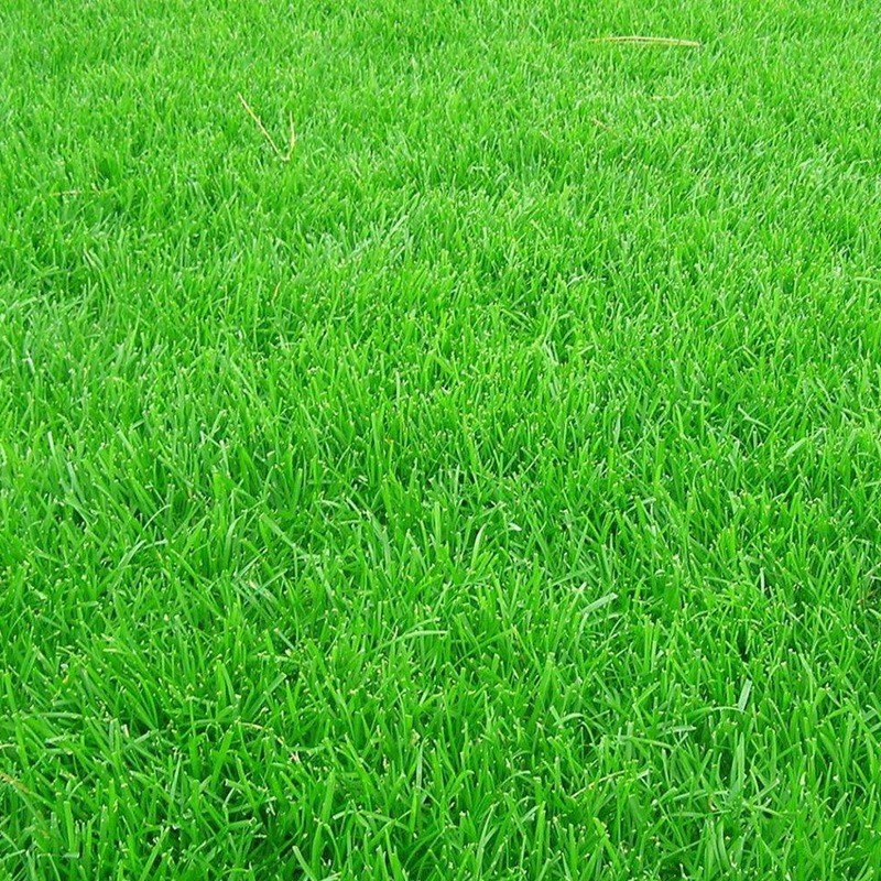 百慕大.jpg 百慕大.jpg