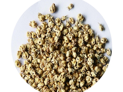 [野牛草]野牛草草坪種子價格_圖片_種植方法