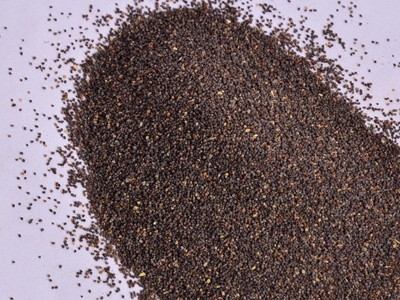 冰島虞美人種子