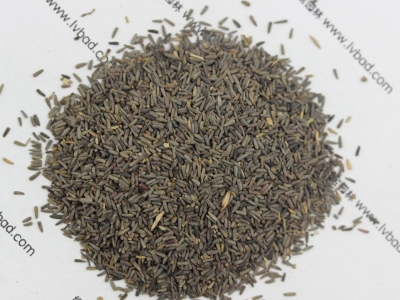 草原松果菊種子