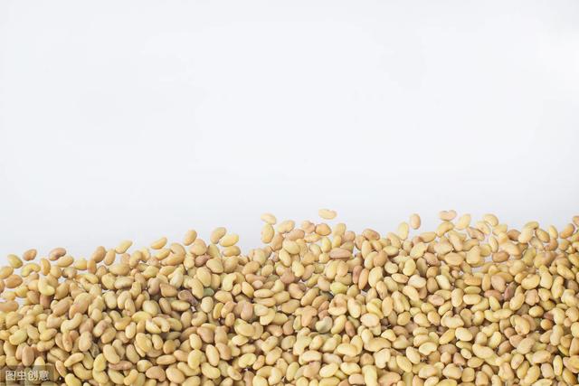 紫花苜蓿牧草種子種植技術及在畜牧生產中的應用 紫花苜蓿牧草種子種植技術及在畜牧生產中的應用