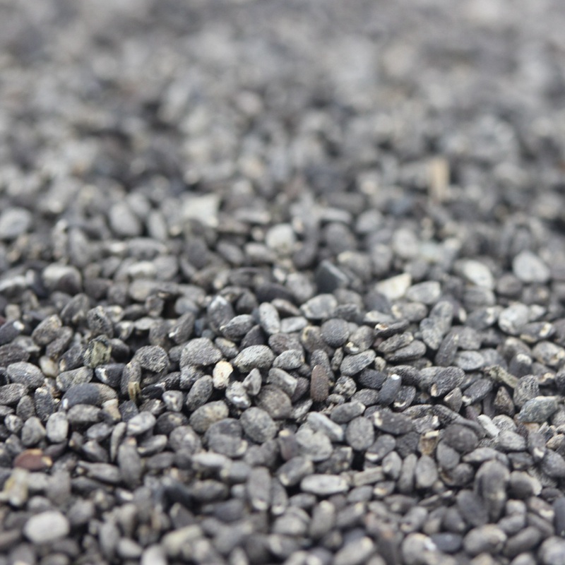 留蘭香薄荷 留蘭香薄荷