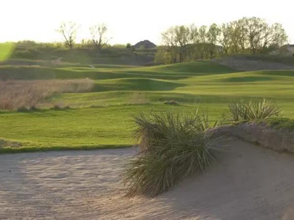 早熟禾與匍匐剪股穎這兩種草坪有什么區(qū)別？