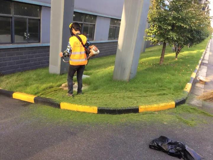 果嶺草冬季養殖方法以及養護技術 果嶺草冬季養殖方法以及養護技術