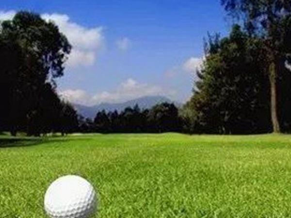 哪里有賣高爾夫球場的草坪種子，哪家種子質量有保障？