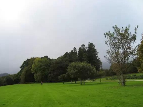 狗牙根春季壞死斑病選擇防治盡量要提前準備！