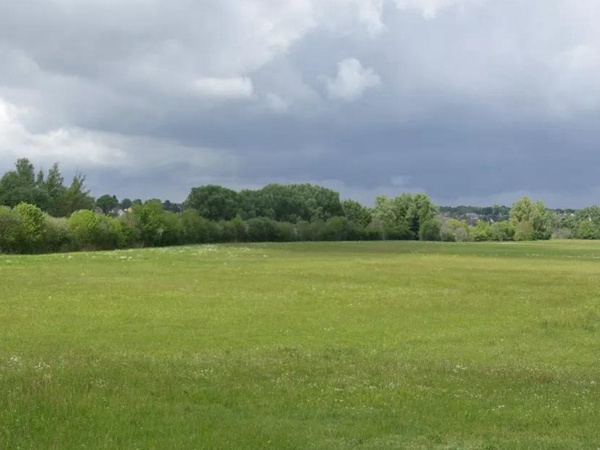 狗牙根品種基本介紹，種植效果