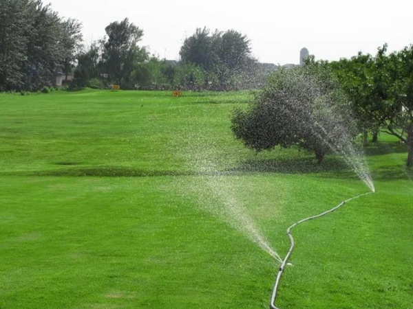 草坪養(yǎng)護(hù) | 夏季管理管理技術(shù)要點(diǎn)與栽培方法 草坪養(yǎng)護(hù) | 夏季管理管理技術(shù)要點(diǎn)與栽培方法