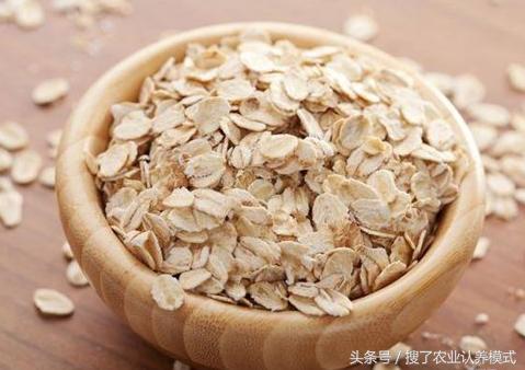 燕麥種子發芽率低怎么辦?怎么樣才能提高燕麥種子的發芽率? 燕麥種子發芽率低怎么辦?怎么樣才能提高燕麥種子的發芽率?