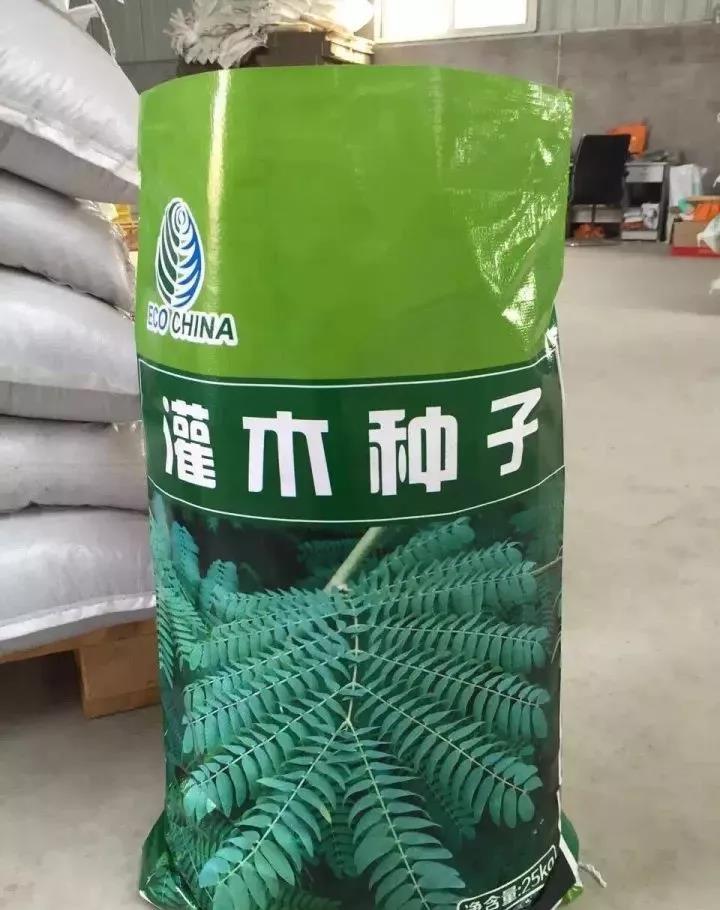 灌木種子—車桑子介紹以及播種方法