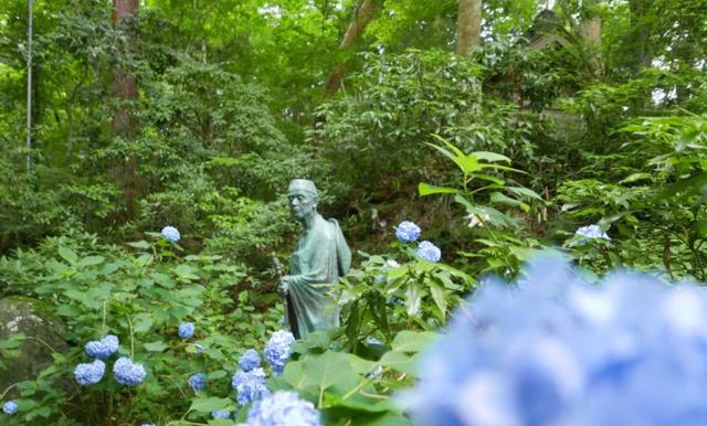 毛豆常見,山毛豆種植技術有哪些? 毛豆常見,山毛豆種植技術有哪些?