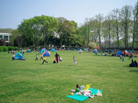草坪的作用不僅僅是美化環境  還可以凈化空氣、過濾塵埃