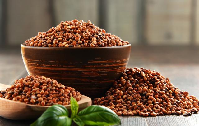 甜高粱怎么栽培？甜高粱科學(xué)栽培技術(shù)是什么！