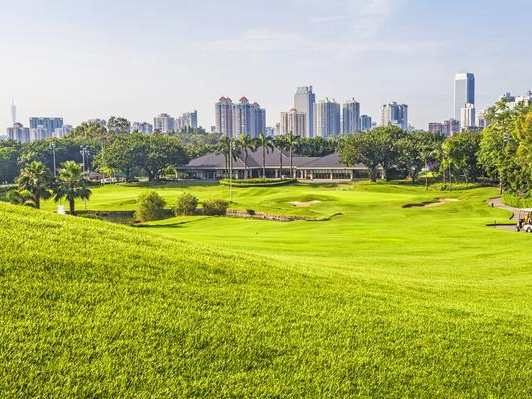 草坪的作用不僅僅是美化環境  還可以凈化空氣、過濾塵埃