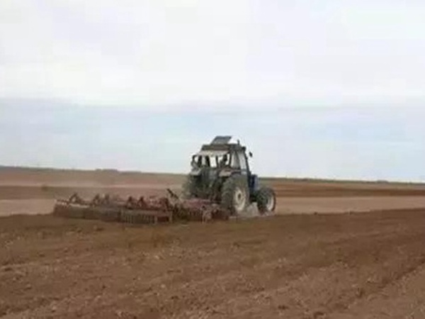 紫花苜蓿春季播種栽培技術