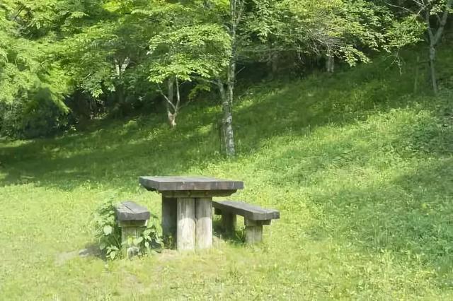 草坪有哪幾種分類你知道嗎? 草坪有哪幾種分類你知道嗎?