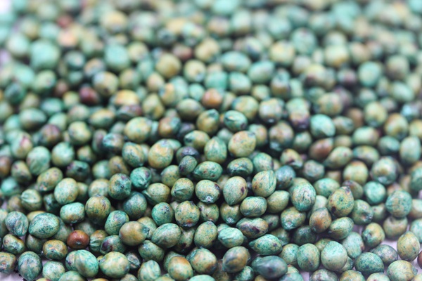 <a href=http://www.honeyandbeau.com.cn/product/2.html target=_blank class=infotextkey>大力士甜高粱種子</a>