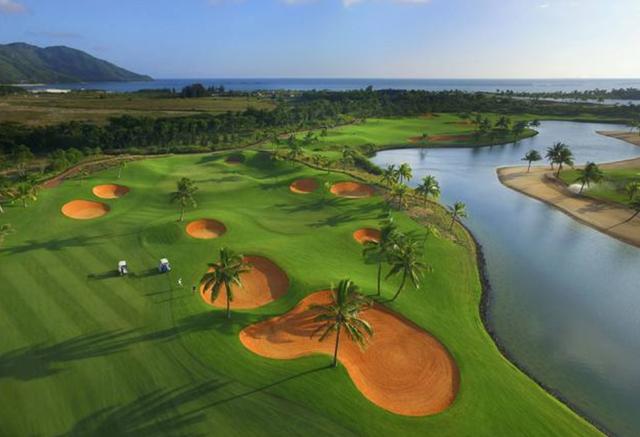 一次種植,多次收益的優質牧草——多年生黑麥草 一次種植,多次收益的優質牧草——多年生黑麥草