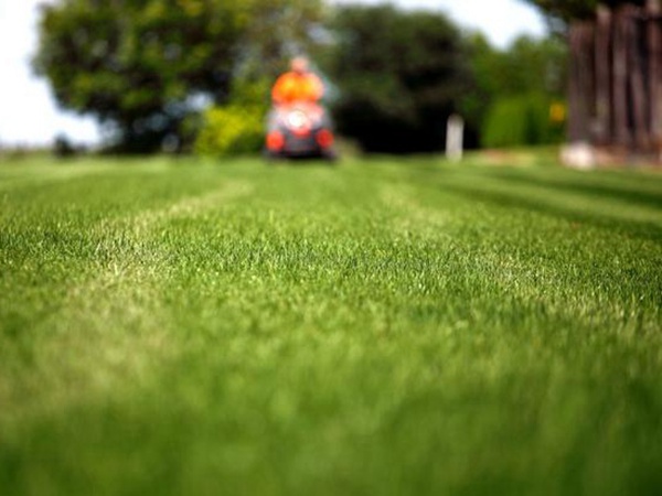 草坪生活中有很多，草坪的種類有哪些？