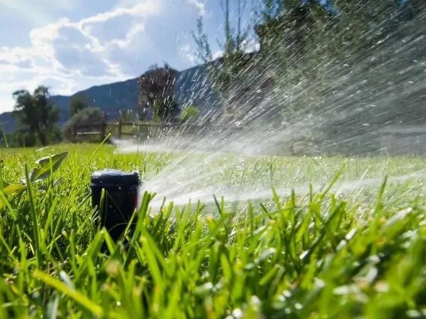 草坪養(yǎng)護(hù) | 夏季管理管理技術(shù)要點(diǎn)與栽培方法 草坪養(yǎng)護(hù) | 夏季管理管理技術(shù)要點(diǎn)與栽培方法