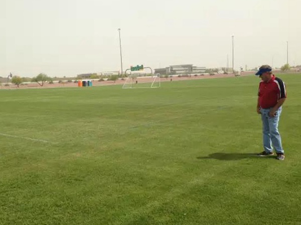 草坪型一年生黑麥草——突破(BREAKOUT WITH STT) 草坪型一年生黑麥草——突破(BREAKOUT WITH STT)