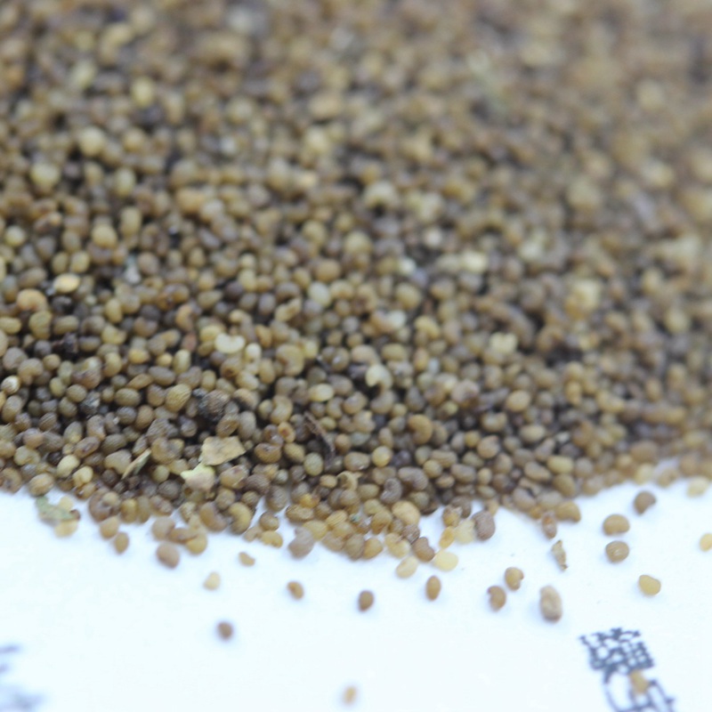 虞美人混色 虞美人混色