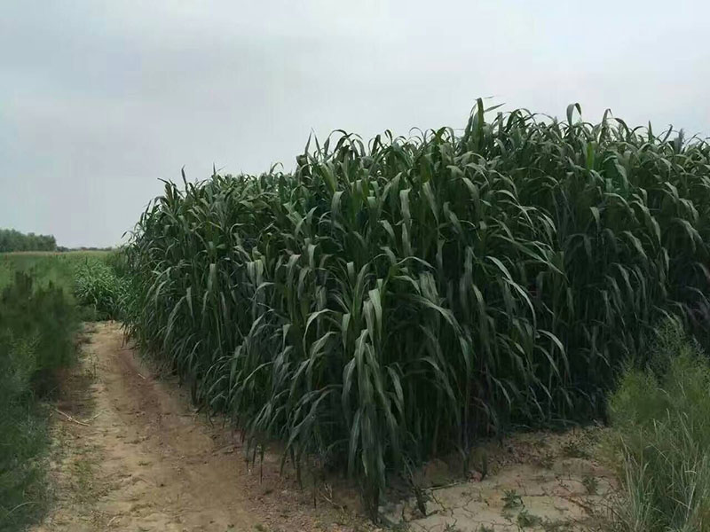 1624331817972472.jpg src=http___image.cnhnb.com_image_jpg_head_2018_03_27_d4f93b02ddae46749a2bc6f7bcd8cc2d.jpg&refer=http___image.cnhnb.jpg