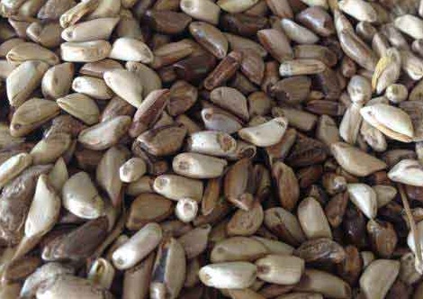 1626185893837411.jpg image.jpg