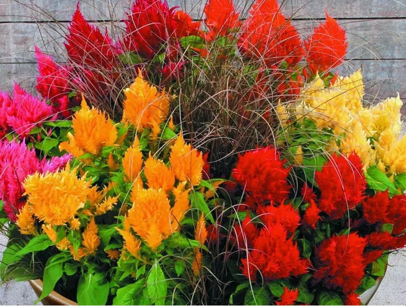 1626234474379313.jpg image.jpg