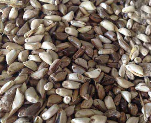 1626404317743656.jpg image.jpg