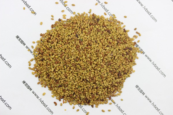 ?′?è?±è??è???§??-?