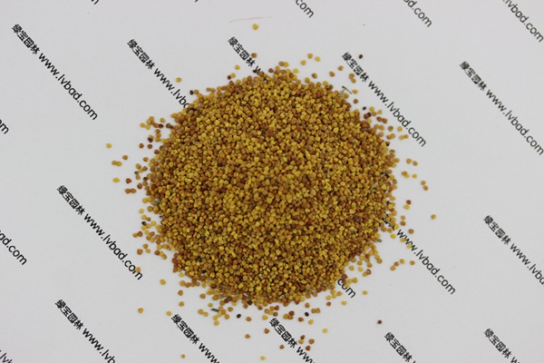 白三葉草種子種植方法 白三葉草種子種植方法