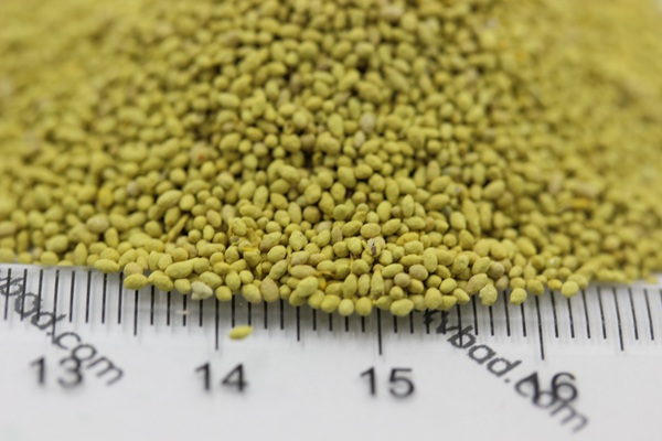 白三葉草種子種植方法 白三葉草種子種植方法