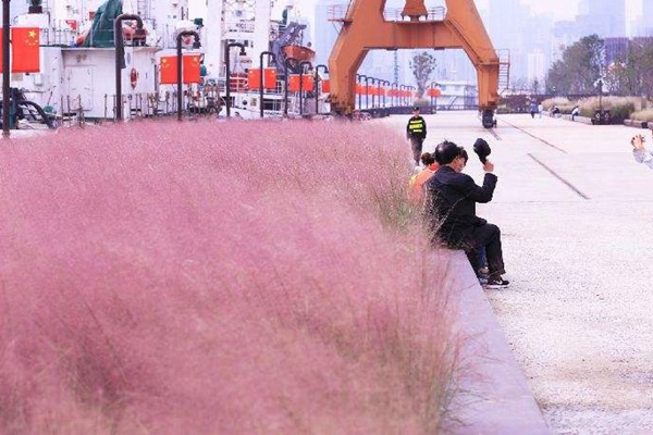 1627225500452062.jpg image.jpg