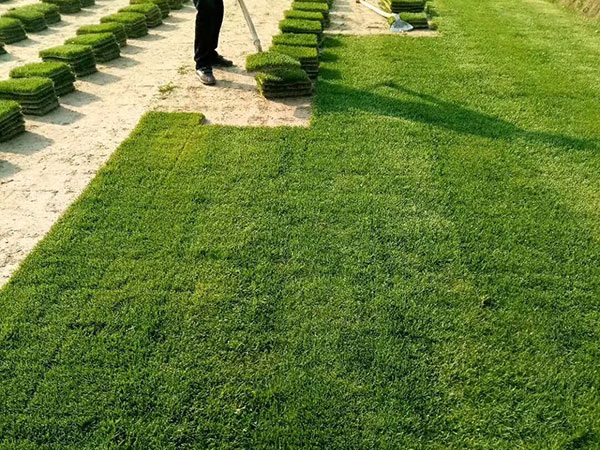 1627371611884528.jpg image.jpg