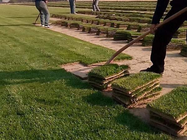 1627377125515256.jpg image.jpg