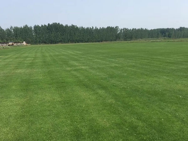 1627378548218511.jpg image.jpg