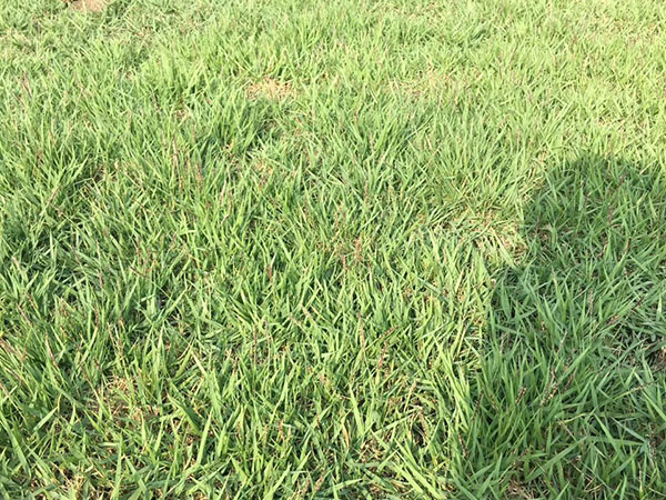 ??????è??è????a??????