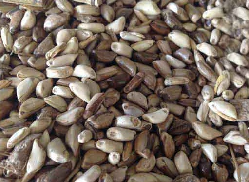 1627520013930631.jpg image.jpg