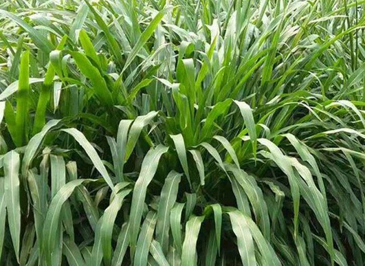 1627522930104176.jpg image.jpg