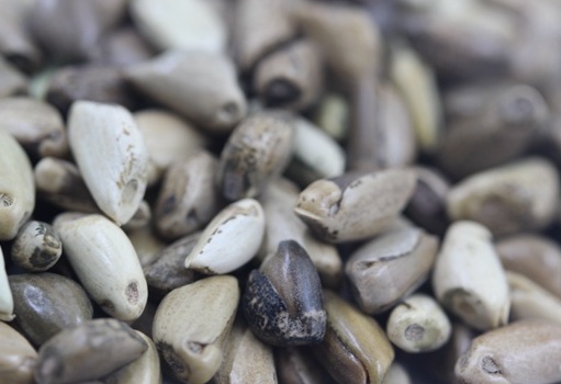 1627526648106198.jpg image.jpg