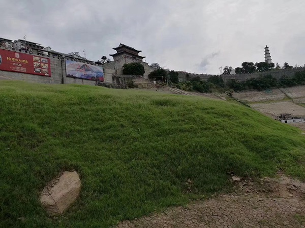 1627613705904301.jpg image.jpg