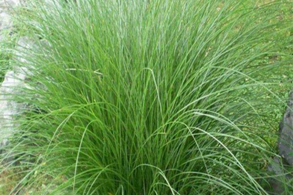 1627688289394661.jpg 1_副本.jpg