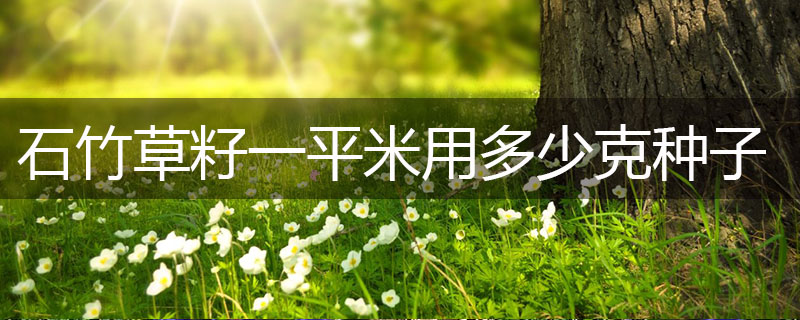 石竹播草籽一平米用多少克種子