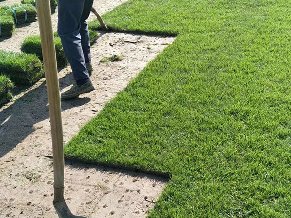 1627698691986163.jpg image.jpg