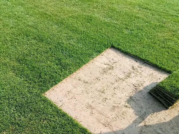 1627822349296990.jpg image.jpg