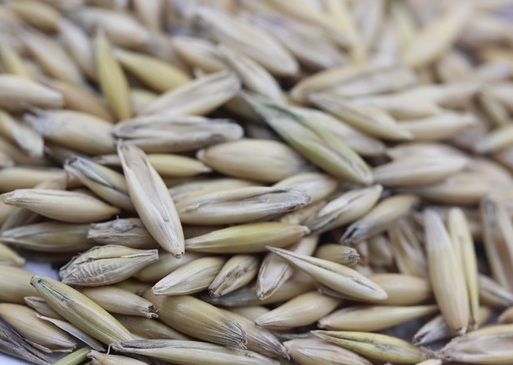 1627949293503758.jpg image.jpg